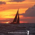 2020 Bulletin #1 – Race Date Set, Safety Training Updates Before dawn on Wednesday, dozens of boats cut silhouettes like this one as they beat to the finish at St. David's Lighthouse. Adventures of a Sailor Girl photo