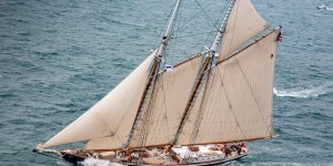 COLUMBIAMartin SutterFishing/Racing Schooner"CCA, NYYC"Super Yacht340

PPL Photo Agency - Copyright reserved
Photo Credit: Daniel Forster/PPL
Tel: +44(0)1234 555561 Email: ppl@mistral.co.uk 
web: www.pplmedia.com