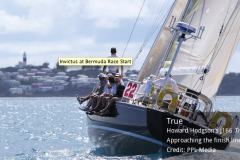Bermuda Docks - 2014