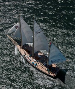 The three-master Spirit of Bermuda has been sailing the race with a crew of youngsters. (Daniel Forster/PPL)