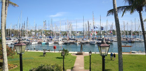 Fleets's in at the RBYC Marina (Talbot Wilson)