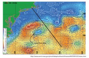 Gulf Stream Satellite Altimetry Derived Surface Currents June 20 2016