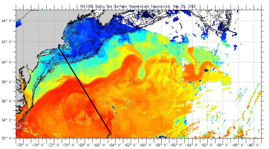 Daily composite image of sea surface temperatures May 25 2018