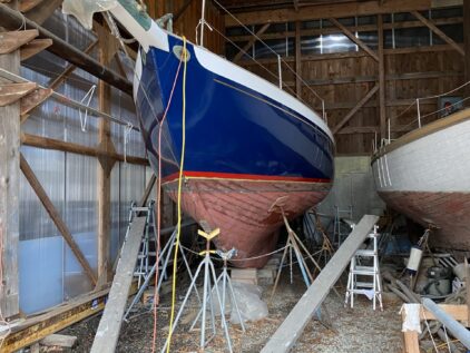 {{brizy_dc_image_alt entityId=